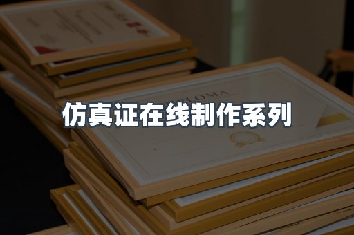 仿真证在线制作系列